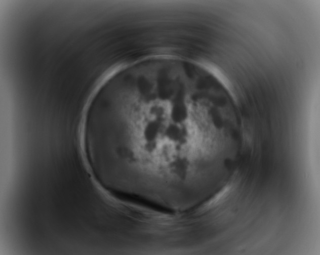 X0000092271245200709211131