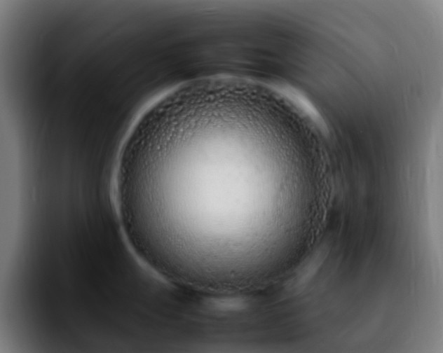 X0000092271247200709211131