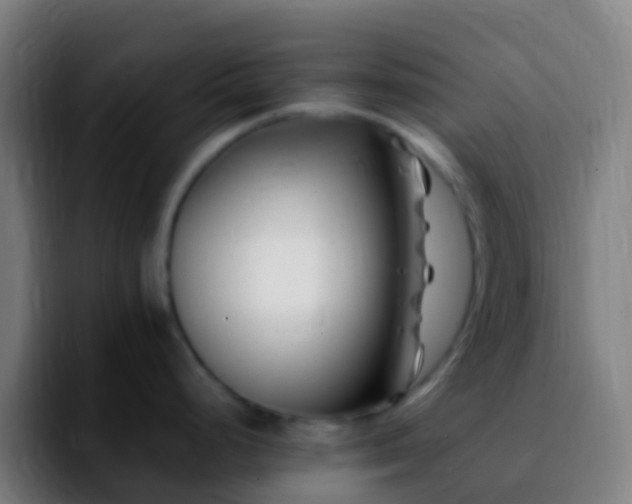 X0000092271248200709211131