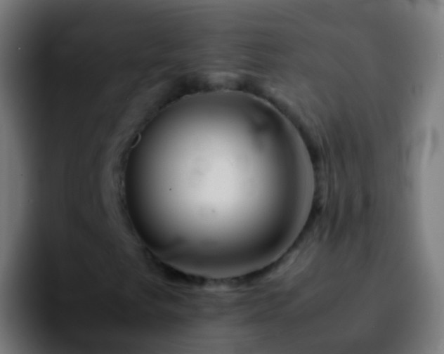 X0000092271249200709211131