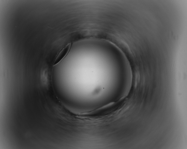 X0000092271250200709211131