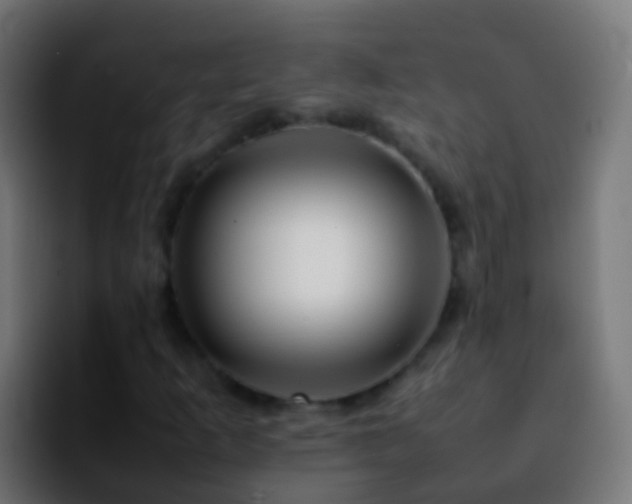 X0000092271253200709211131
