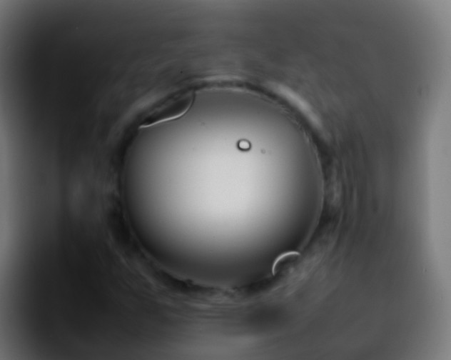 X0000092271255200709211131