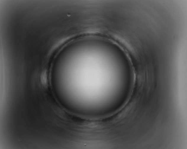 X0000092271262200709211131