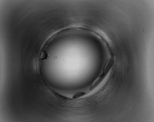 X0000092271268200709211131
