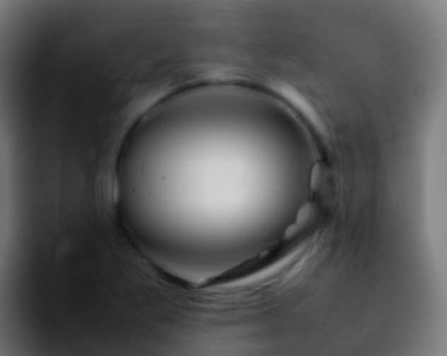 X0000092271269200709211131