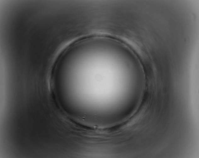 X0000092271271200709211130