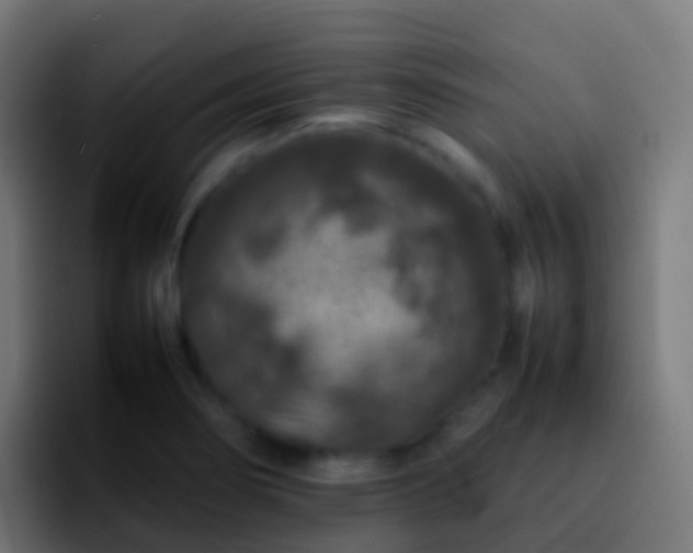 X0000092271274200709211130