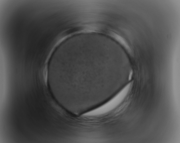 X0000092271275200709211130