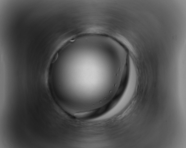 X0000092271277200709211130