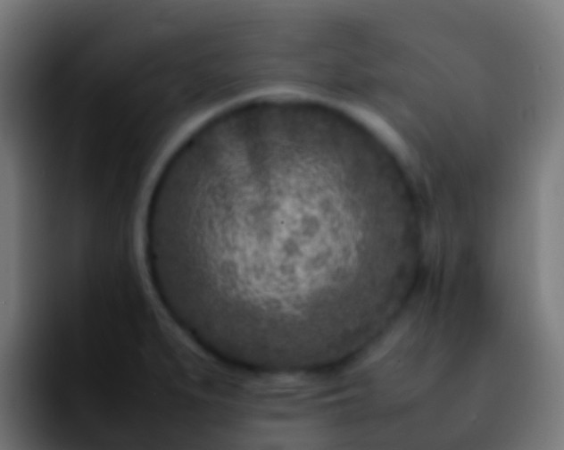 X0000092271279200709211130