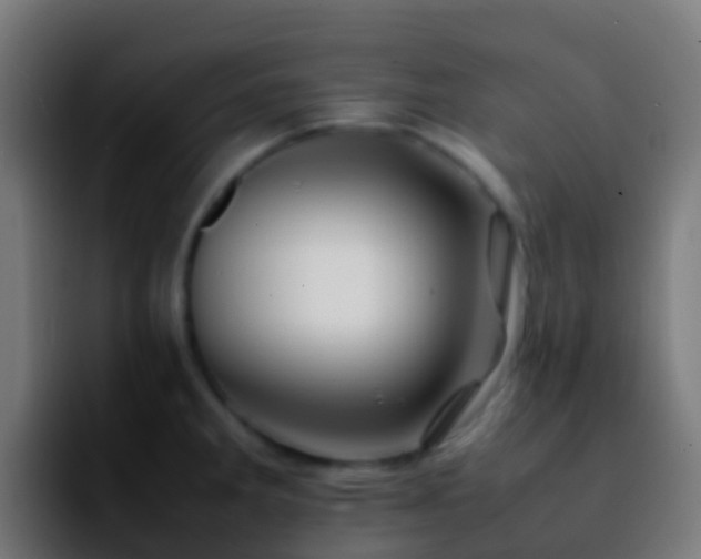 X0000092271285200709211130