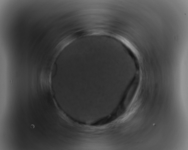 X0000092271289200709211130