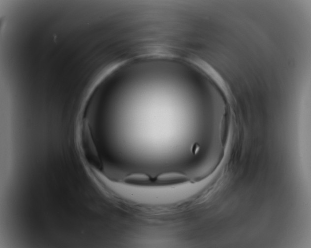 X0000092271293200709211130