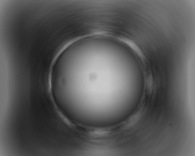 X0000092271294200709211130