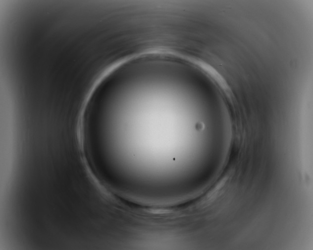 X0000092271295200709211130