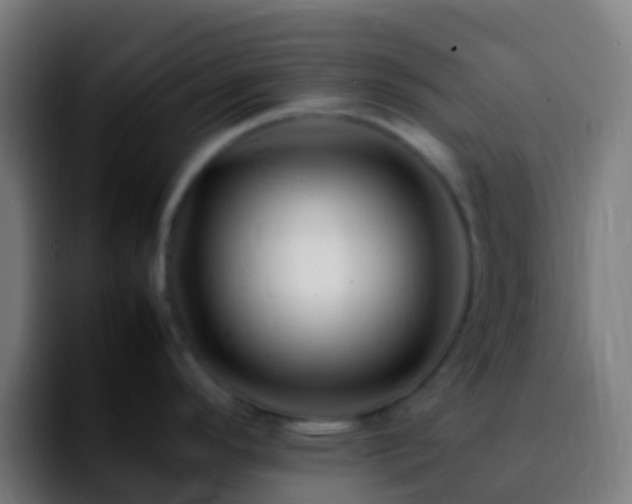 X0000092271296200709211130