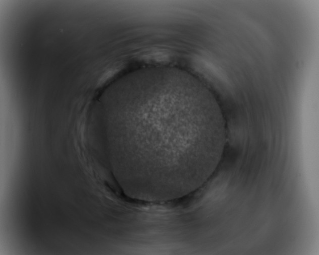 X0000092271297200709211130