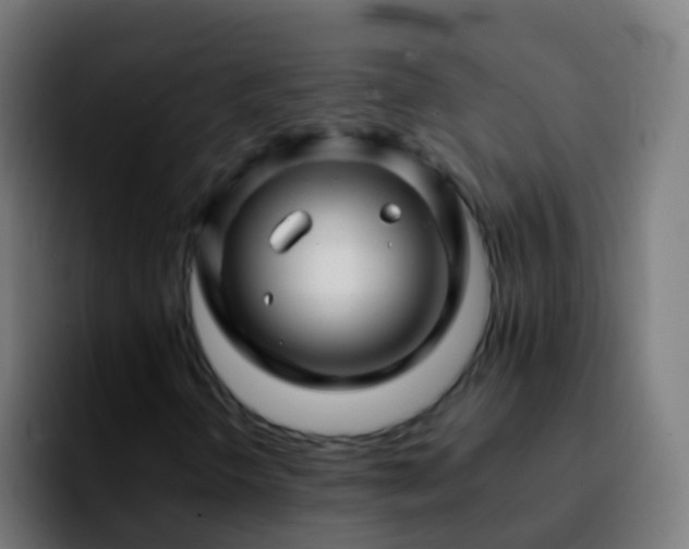 X0000092271298200709211130