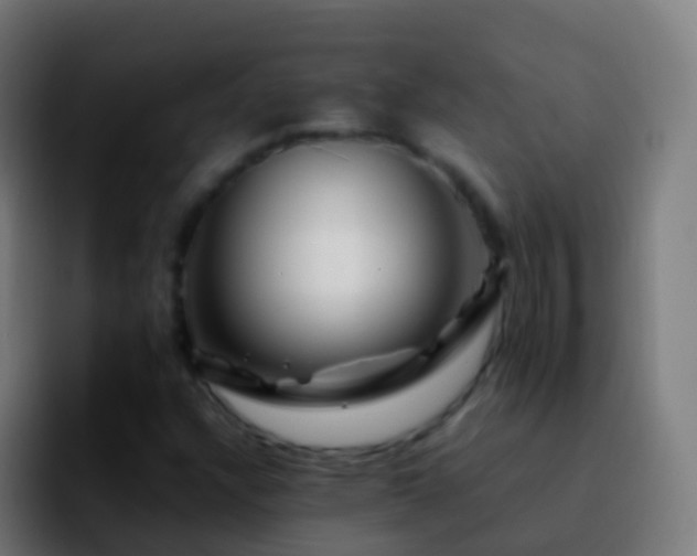 X0000092271304200709211130