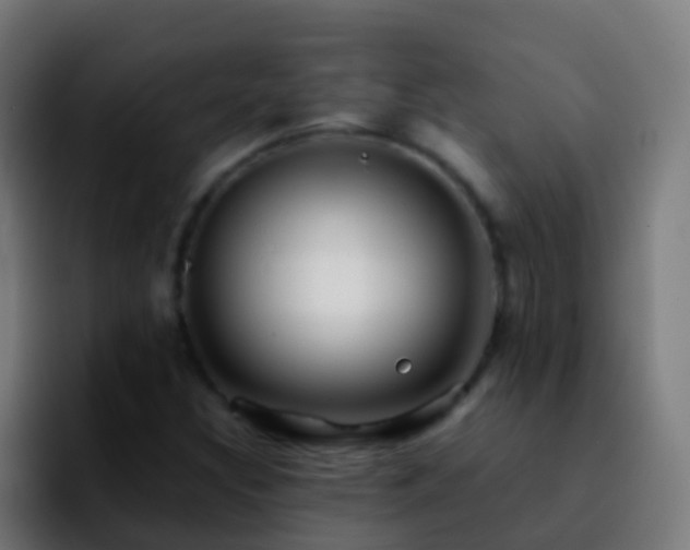 X0000092271308200709211130