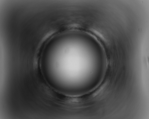 X0000092271309200709211130