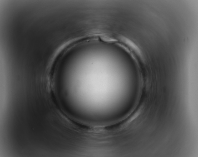 X0000092271310200709211130