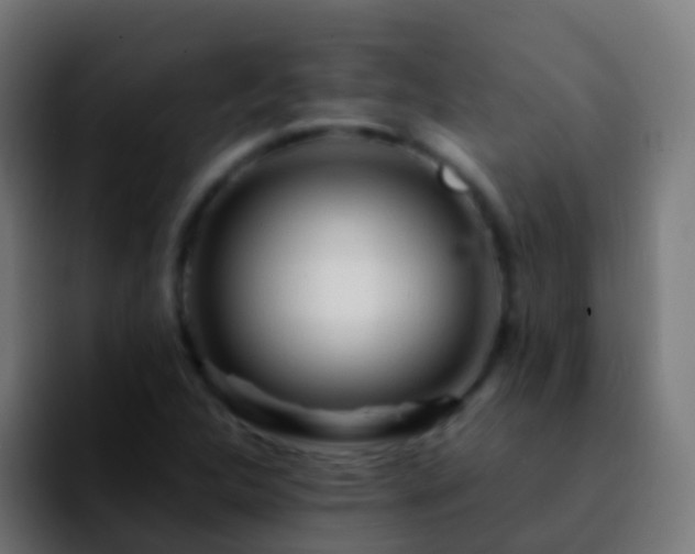 X0000092271312200709211130