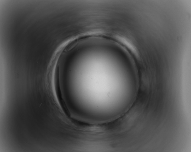 X0000092271316200709211130