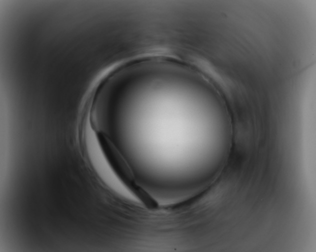 X0000092271320200709211130