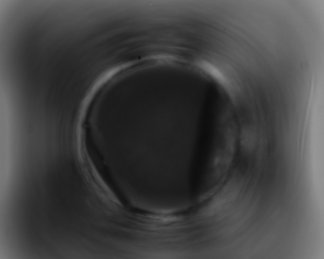 X0000092271323200709211130