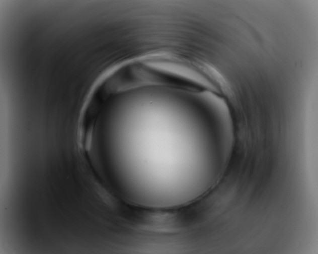 X0000092271324200709211130