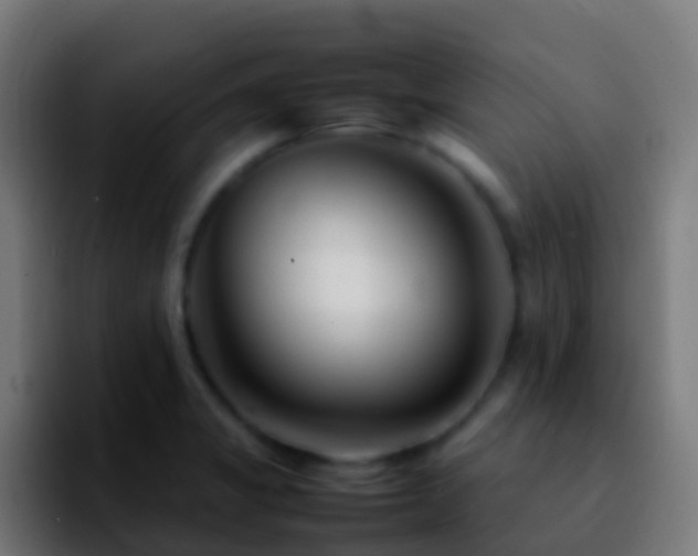 X0000092271325200709211130