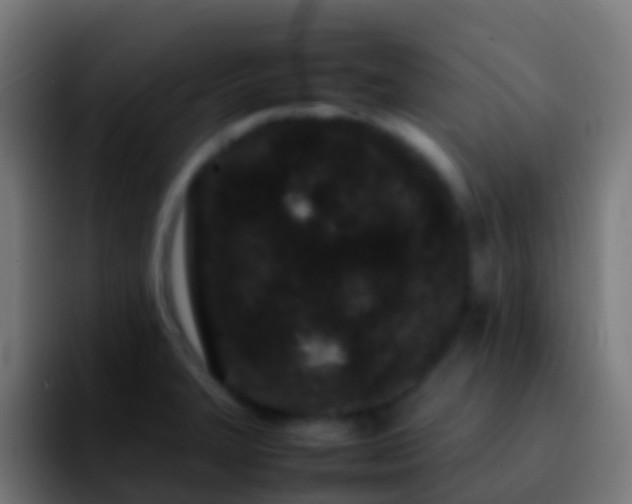 X0000092271327200709211130