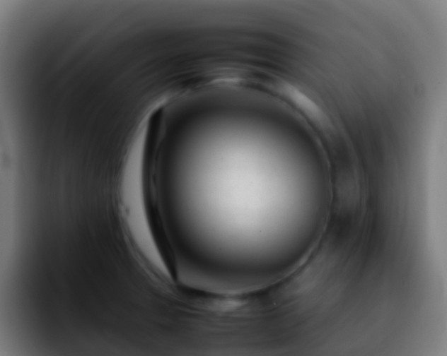 X0000092271329200709211130