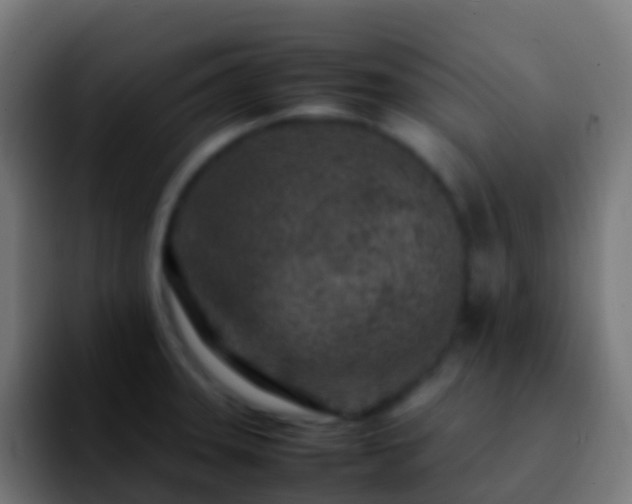 X0000092271331200709211130