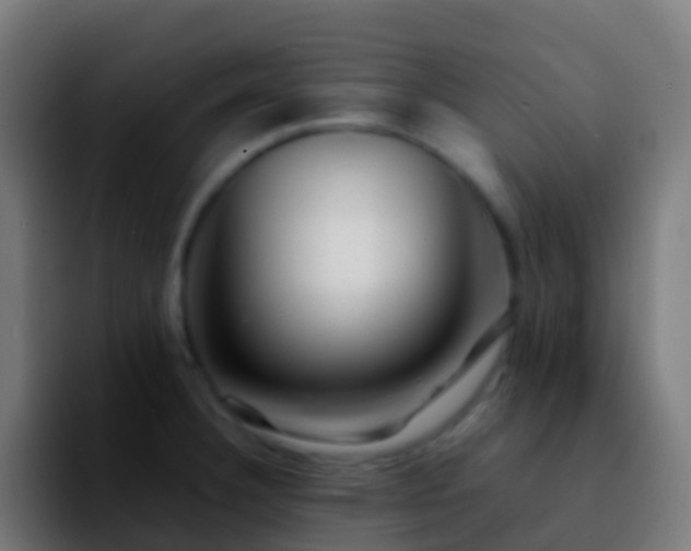X0000092271332200709211130