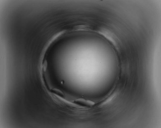 X0000092271333200709211130