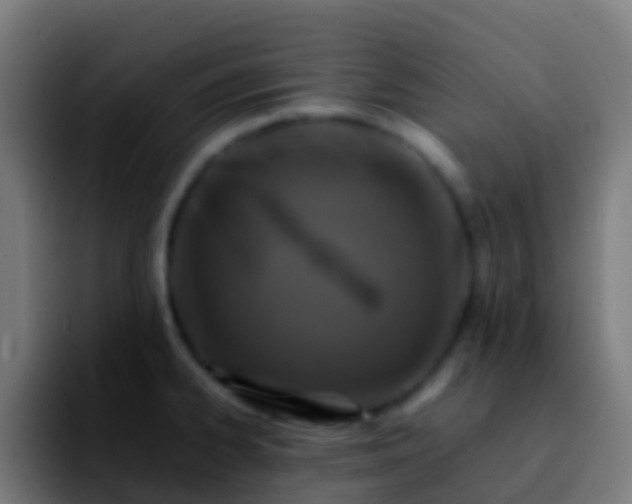 X0000092271334200709211130
