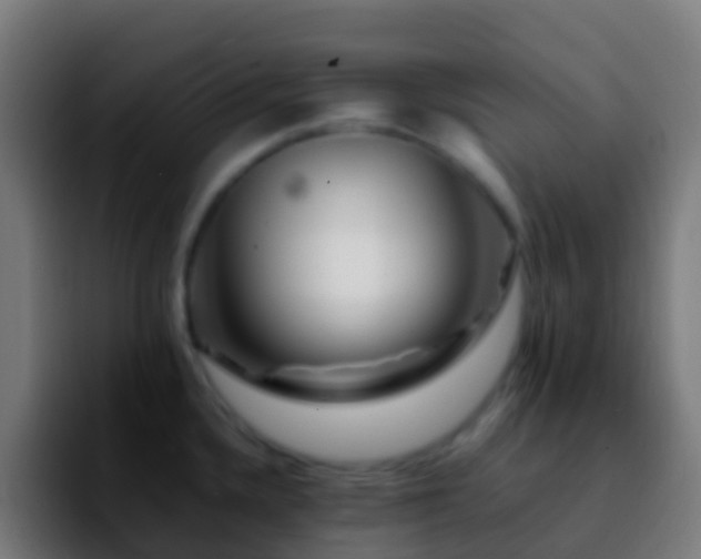 X0000092271336200709211130