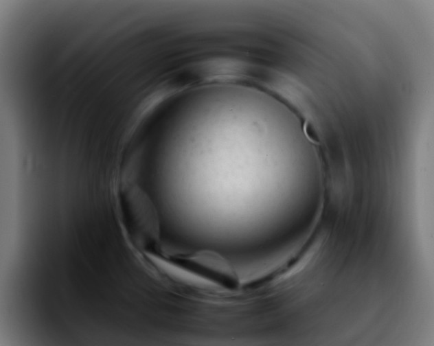 X0000092271337200709211130