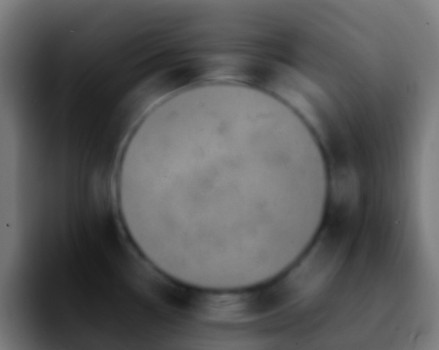 X0000092271338200709211130