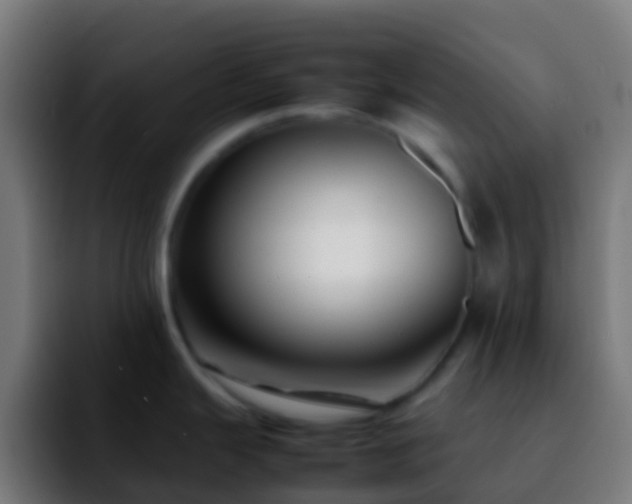 X0000092271343200709211130