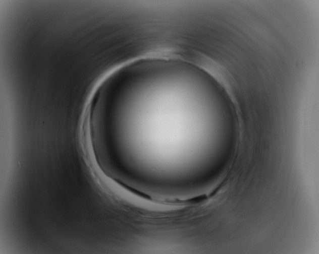 X0000092271344200709211130