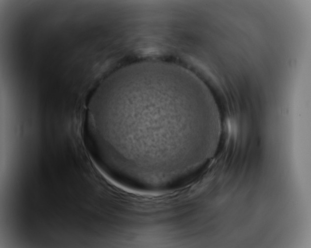 X0000092271348200709211130