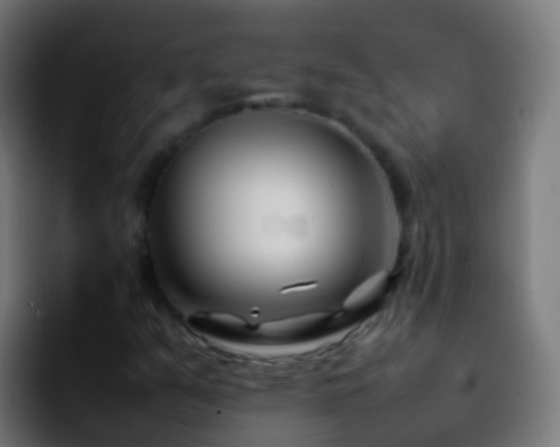 X0000092271351200709211130