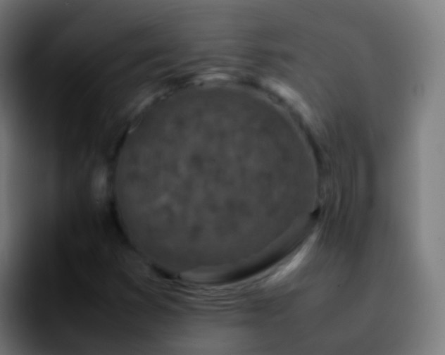 X0000092271353200709211130