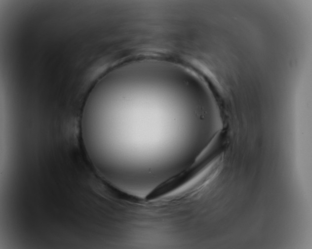 X0000092271355200709211130