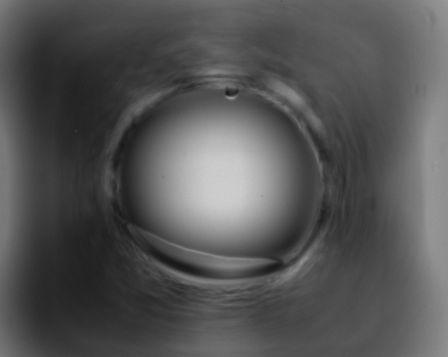 X0000092271357200709211129