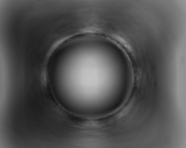 X0000092271358200709211129